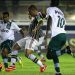 Foto: Nelson Perez / Divulgação FFC