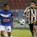 Em clima de final, Cruzeiro enfrenta o Botafogo / foto: Divulgação