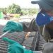 Campanha de combate à dengue tem início nesta terça / Foto: Divulgação