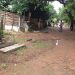 (Foto: Fernanda Borges/G1)