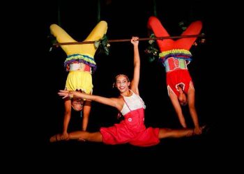 Os espetáculos circenses são gratuitos