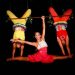 Os espetáculos circenses são gratuitos