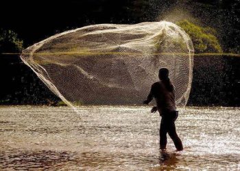 As fotografias foram feitas por Felipe Menezes