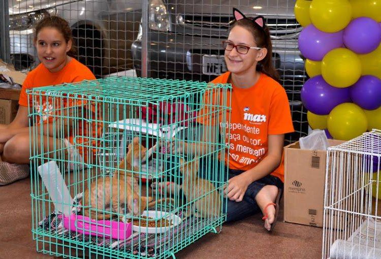 Fundação Bradesco convida Miau Auau para realizar feira de adoção de bichos durante evento cultural (Foto: Divulgação)
