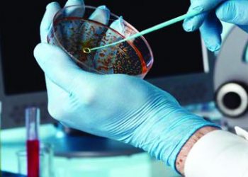 Na pauta, temas como dengue e ebola