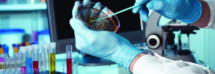 Na pauta, temas como dengue e ebola