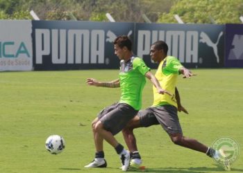 Goiás enfrenta o Palmeiras no duelo verde no Serra Dourada. (Foto: Site Goiás E.C.)