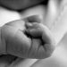 Para o júri, composto por quatro homens e cinco mulheres, Sara teve a intenção de por fim a vida de seus filhos