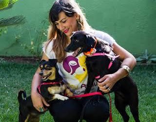 Para encontrar o lar perfeito para cada um dos animaizinhos resgatados, os visitantes da feira que quiserem assumir o compromisso passarão por uma triagem, entrevista e preencherão a ficha e o termo de adoção