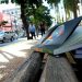 Os exemplares estarão principalmente do centro de Goiânia e quem achar é o novo dono
