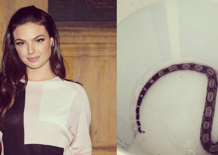 Pelas fotos no Instagram, é possível observar que a casa da atriz é cercada por vegetação (Foto: Reprodução)