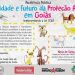 "Somente com a aplicação dos três pilares que a lei descreve (castração, identificação e educação), é que conseguiremos começar a resolver o problema dos animais de rua”, afirma Alexander Noronha, fundador da ARPA Brasil