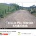 Vídeo feito na casa da avó dos garotos já tem quase cinco milhões de visualizações (Foto: Reprodução)