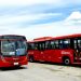 Frota inicial com 10 ônibus circulará de Ponta Negra a Itaipuaçu, 24 horas, inclusive nos finais de semana (Foto: Divulgação)