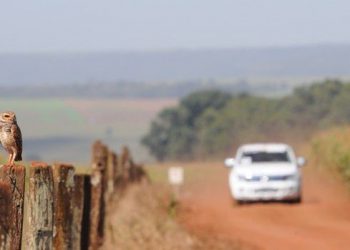 A prova é reconhecida e homologada pela Federação Goiana de Automobilismo