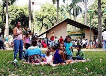 O zoológico traz mais de 500 espécies espalhadas