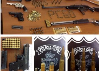 Armas apreendidas na propriedade do suspeito (Foto: Divulgação/Polícia Civil)