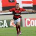 Diogo Campos pode rescindir o contrato com Dragão a qualquer momento