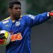 Aranha pode ir para no Palmeiras