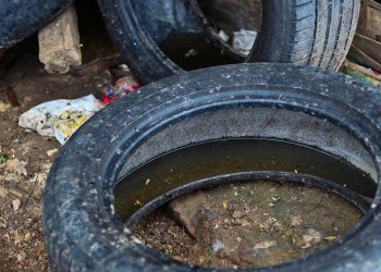 Setor foi o que mais apresentou casos da doença no início de 2015. Foram 37 registrados em uma só semana. Saúde orienta população a se previnir (Foto: Claudio Fachel/ Palácio Piratinil)
