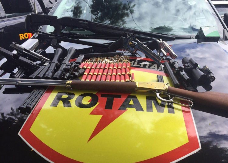 Armas apreendidas pela polícia (Foto: Divulgação/PM)