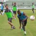 Último treino do Goiás antes do jogo contra a Aparecidense (Foto: Site Goiás)