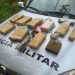 Droga apreendida pela Polícia Militar (Foto: Divulgação/PM)