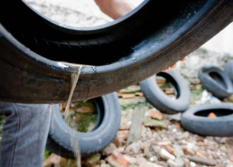 Mutirão de limpeza em Aparecida visa eliminar os focos do mosquito da dengue / Foto: Alina Souza