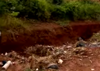 Mato alto, rua sem asfalto e entulho no Buriti Sereno, em Aparecida de Goiânia