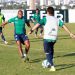 Último treino antes de duelo contra o Grêmio (Foto: Site Goiás)