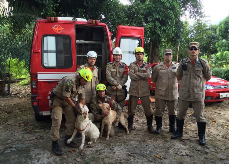 Equipe dos Bombeiros que efetuou o salvamento (Foto: Divulgação)