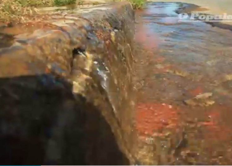 Água "brota" de rua no Jardim América há três dias / Foto: Reprodução O Popular