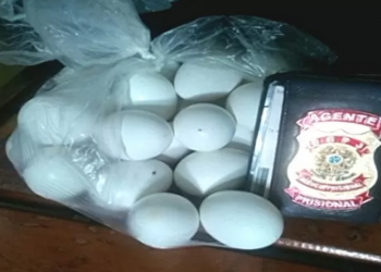Ovos recheados de pinga (Foto: Reprodução)
