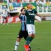 Goiás mantém invencibilidade após empate com o Grêmio (Foto: Site Goiás)