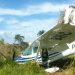 Avião ficou destruído (Foto: Reprodução / Whatsapp)