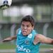 Empresário chegou a dizer que Rodrigo assinaria pré-contrato com o Fluminense (Foto: Site Goiás)