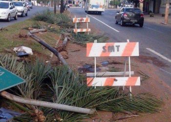 Acidente deixou um rastro de destruição no local (Foto: Divulgação SMT)