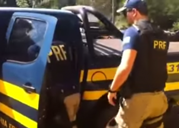 Policiais fazem o transporte do animal silvestre (Foto: Reprodução)