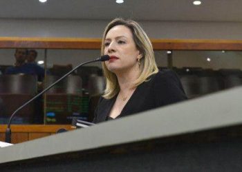 Deputada e delegada Adriana Accorsi em plenário (Foto: Reprodução)