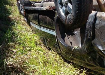 Caminhonete parou às margens da rodovia (Foto: Divulgação PRF)