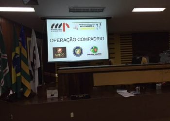 Operação foi deflagrada no início da manhã desta terça-feira (11/8) / Foto: Divulgação
