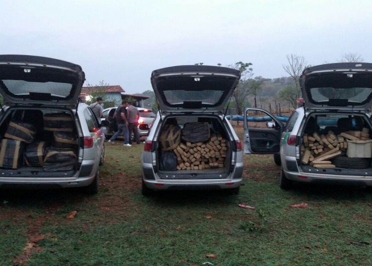 Droga apreendida (Foto: Divulgação PM)