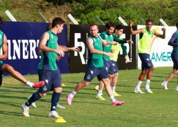 Time esmeraldino está na zona de rebaixamento, em 17º lugar (Foto: site Goiás)