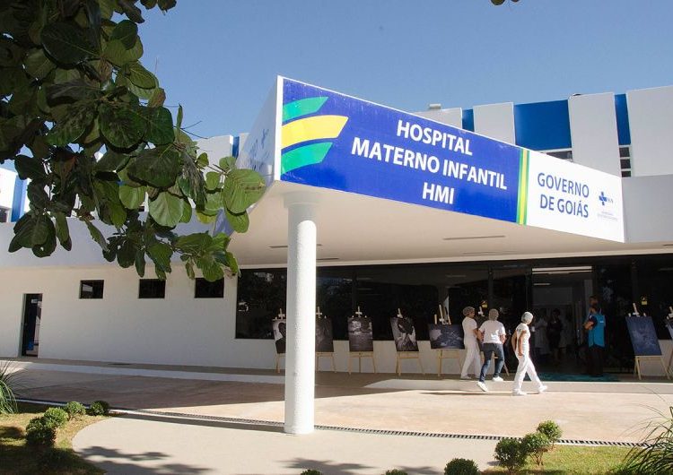 Siameses resistiram pouco minutos após o parto (Foto: Divulgação HMI)