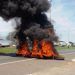 Caminhoneiros queimam pneus em rodovia goiana (Foto: Divulgação/PRF)