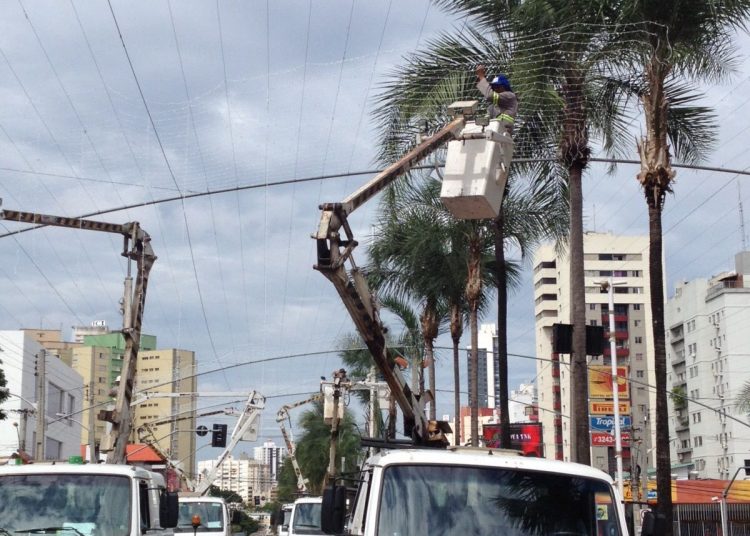 Praça Tamandaré é um dos pontos mais tradicionais no natal goianiense (Foto: Ascom /Prefeitura)