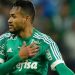 O defensor terminou o ano como titular absoluto