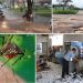Infraestrutura, Saneamento e Segurança são preocupações do goiano (Foto: Montagem)