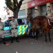 Cavalaria da PM-GO (Foto: Ângela Scalon/Ilustrativa)