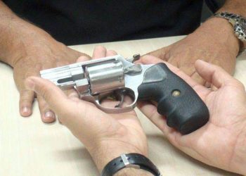 Estatuto do desarmamento está em vigor desde 2004 (Foto: Divulgação)